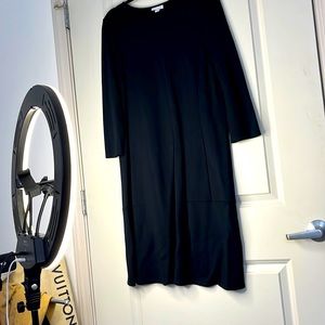 J. Jill, long sleeve pleated dress.